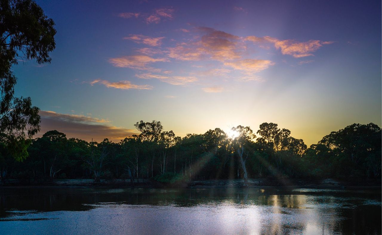 View over the Murray River from the cabins