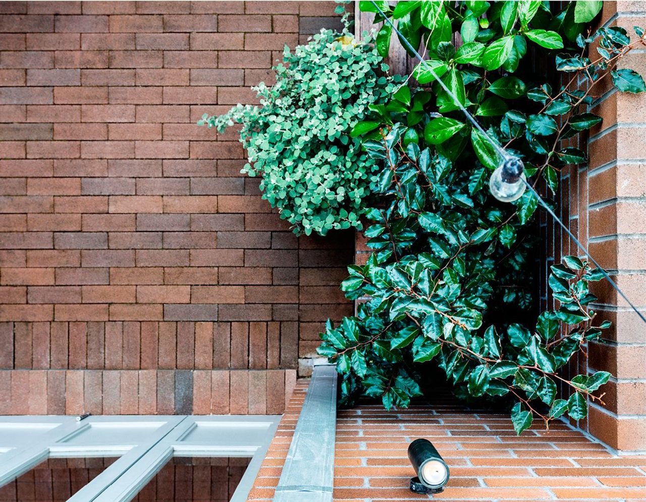 Rear courtyard from laundry room roof